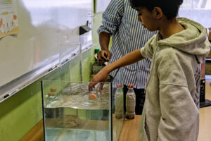 Un élève immerge une petite bouteille dans un grand aquarium rempli d’eau, accompagné d’un animateur.